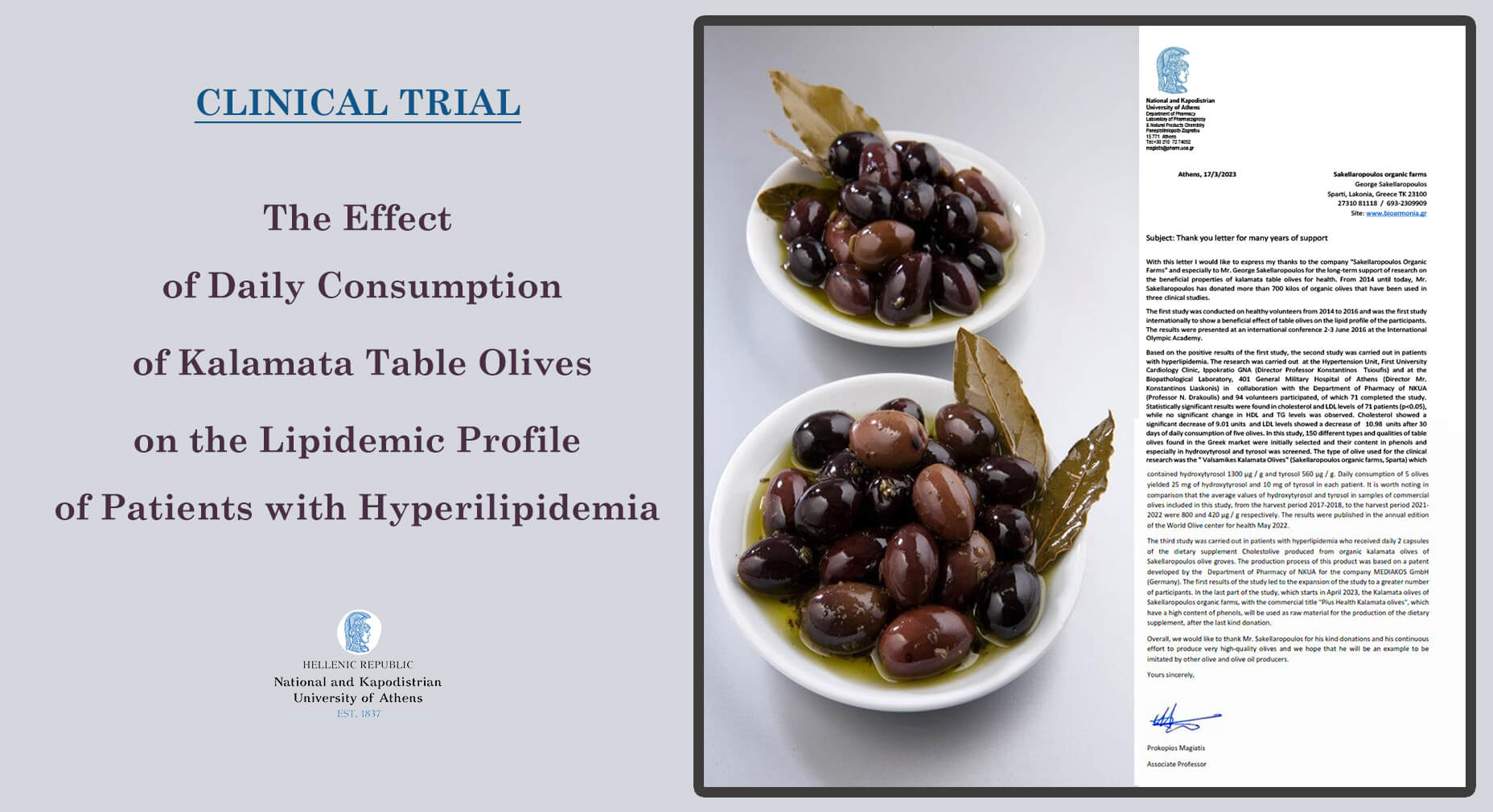 Βιολογικοί Ελαιώνες Σακελλαρόπουλου Ελιές κλινικές μελέτες χοληστερόλη
