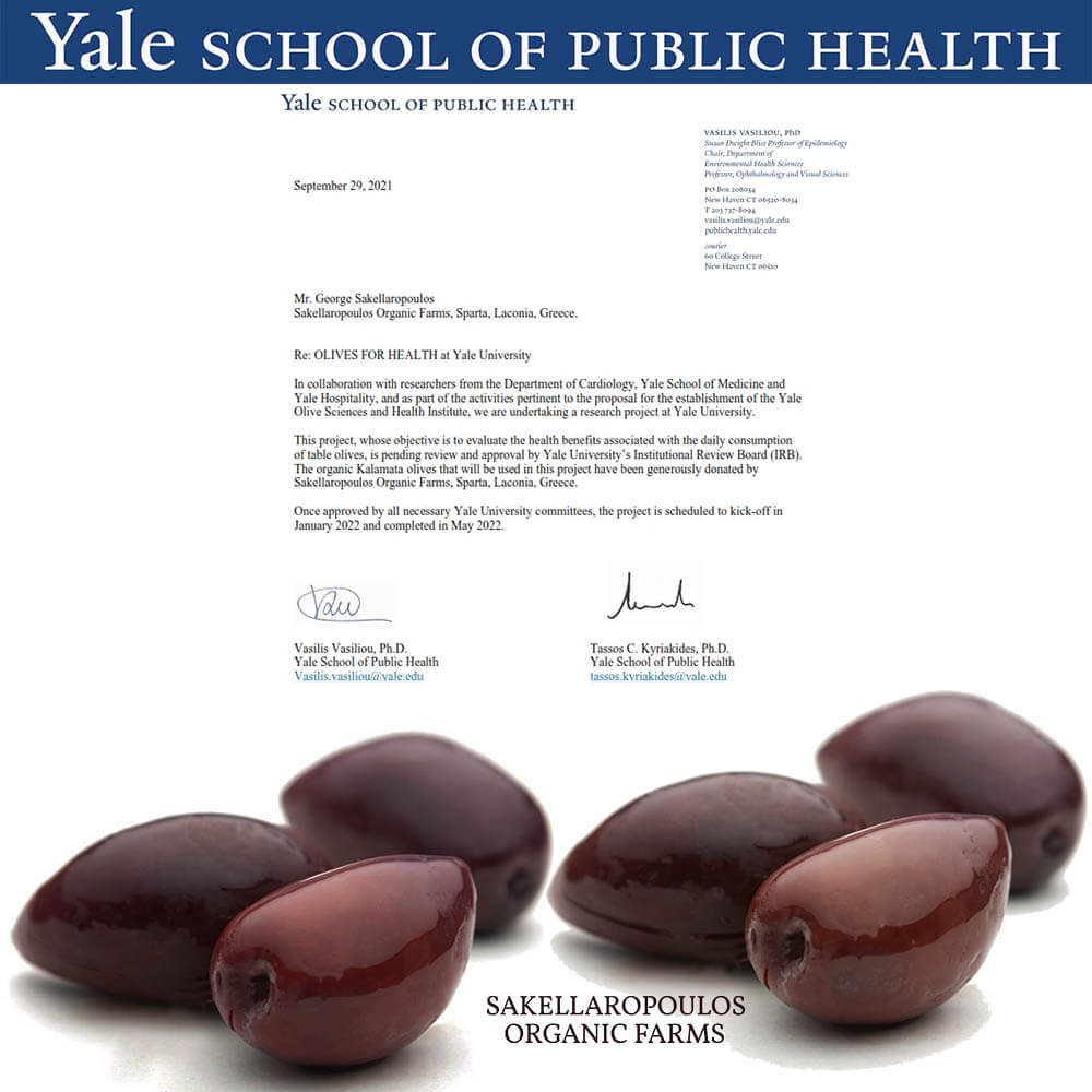 Βιολογικές Ελιές Olives For Health υγεία μελέτη Yale