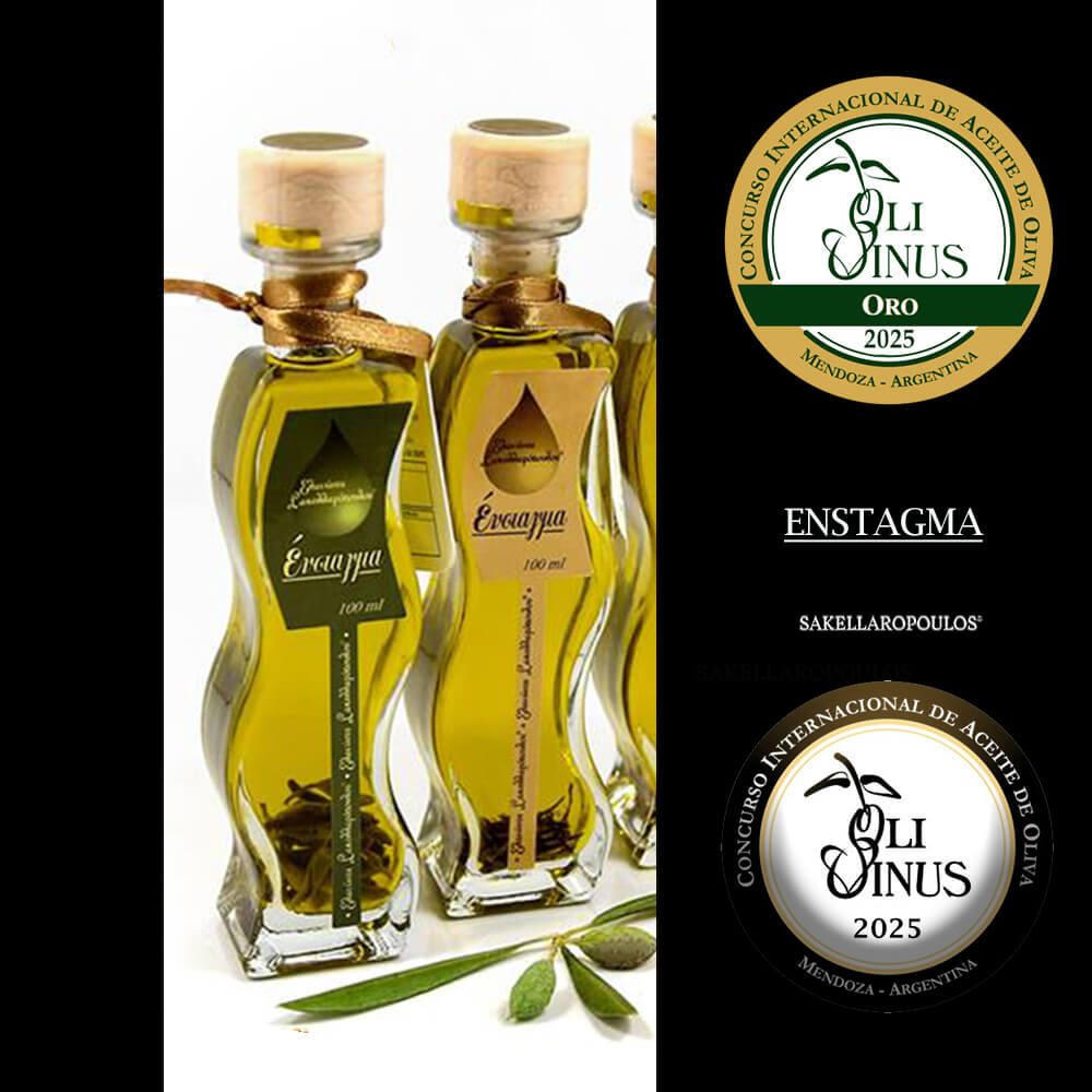 Olivinus 2025 Record olive oil awards syllektikon flavored EVOO Sparta Greece Enstagma