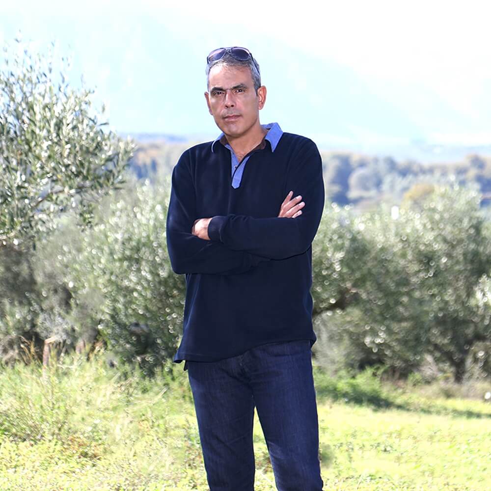 βιολογικοί ελαιώνες σακελλαρόπουλου λακωνία λάδια ελιές ελαιόλαδο βιο single estate