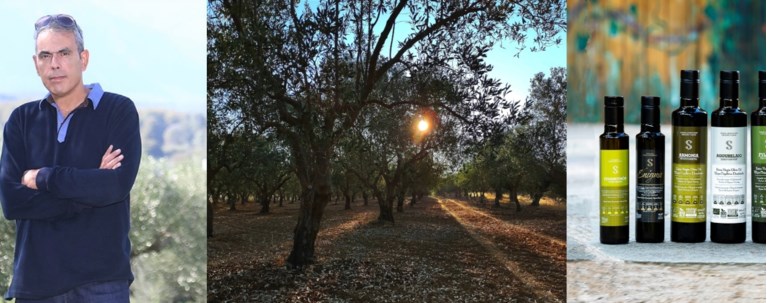 Βιολογικοί Ελαιώνες Σακελλαρόπουλου ελαιόλαδο ελιές Λακωνία βραβεύσεις διαγωνισμοί διεθνείς