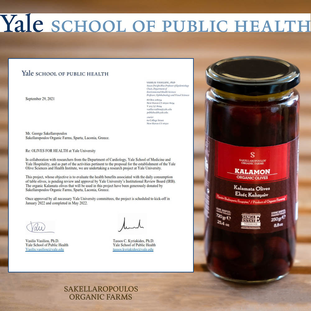 Yale βιολογικές ελιές έρευνα υγεία πολυφαινόλες φαινόλες ελαιώνες Σακελλαρόπουλου