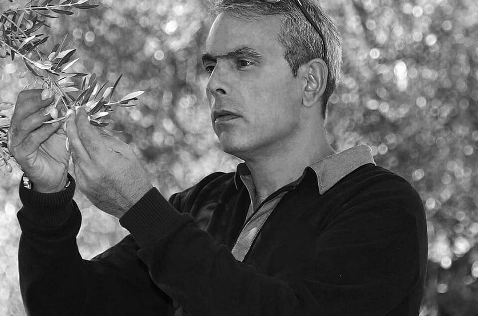 βιολογικοί ελαιώνες σακελλαρόπουλου λακωνία λάδια ελιές ελαιόλαδο βιο single estate