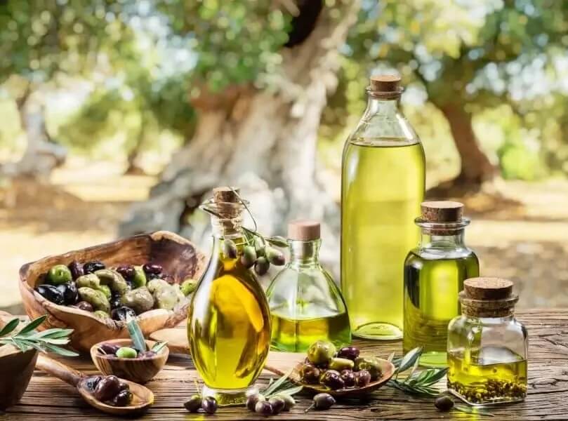 Yale Olives For Health Greek organic Kalamata table olives Sakellaropoulos farms Greece