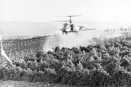 φυτοφάρμακα οικολογική γεωργία χρήση ελαιόλαδο ψεκασμός