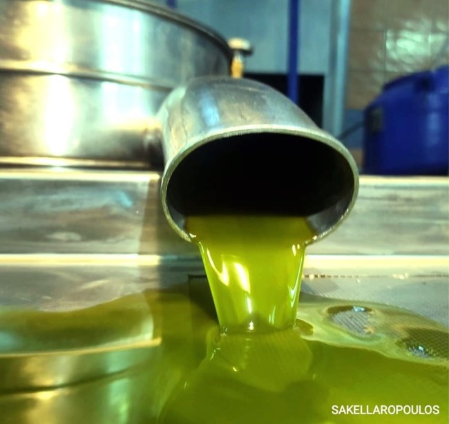 Βιολογικό Εξαιρετικό Παρθένο Ελαιόλαδο Σπάρτη Ελαιώνες Σακελλαρόπουλου λάδι ελιάς