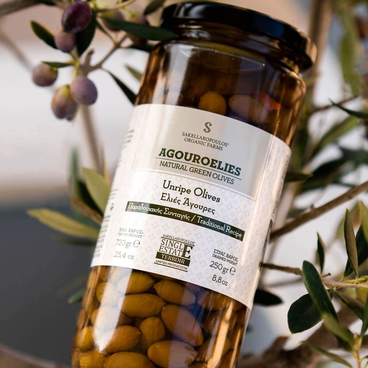 αγουροελιές unripe olives ελιές πράσινες αλάτι ξύδι βιολογικές gourmet παστερίωση