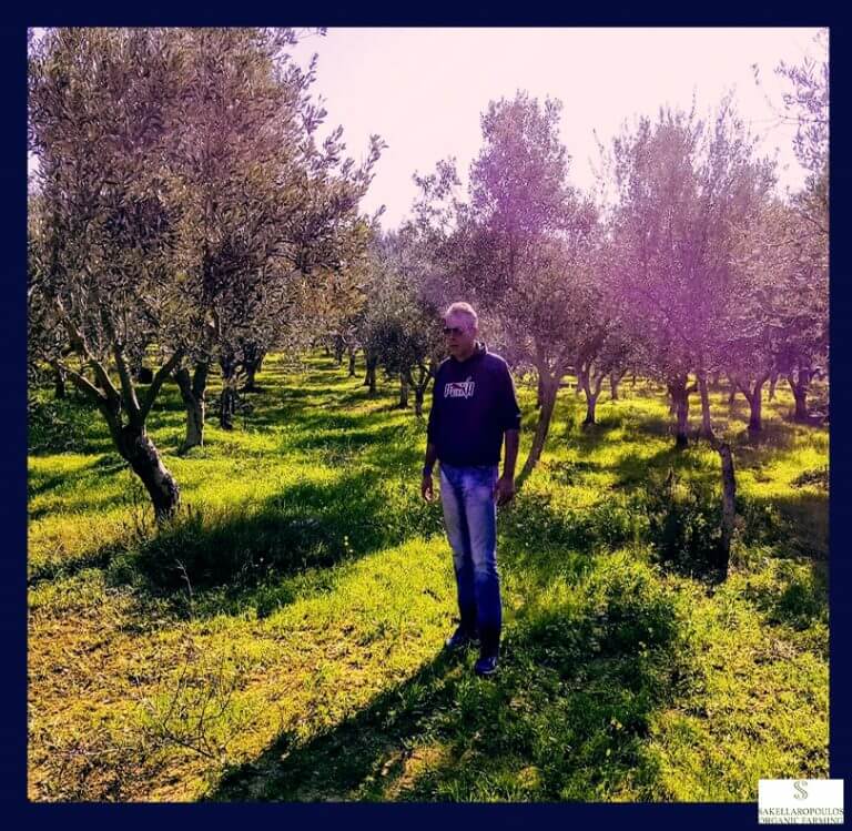 george sakellaropoulos olives olive oil