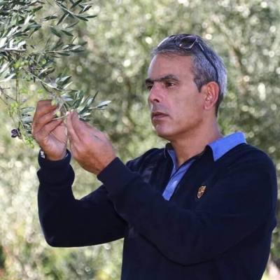 Sakellaropoulos Organic Farms sets world record, winning 203 international awards