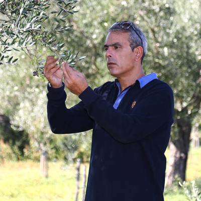 Συνέντευξη στο Startup.gr: Γιώργος Σακελλαρόπουλος – ιδρυτής των πολυβραβευμένων βιολογικών ελαιώνων