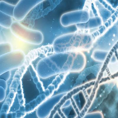 Why Your Gut Bacteria Matters for Heart Health