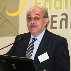 Ένα πολύτιμο συστατικό στο ελαιόλαδο εντόπισαν Έλληνες και Τούρκοι επιστήμονες