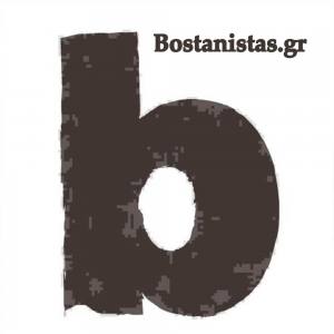 Με προσωπικότητα και ντοπιολαλιά