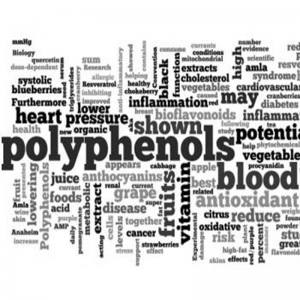 Πολυφαινόλες Ελαιολάδου - Ελαιοκανθάλη: Επίδραση στην υγεία του ανθρώπου