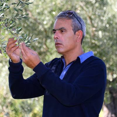Μάχες για τα γκουρμέ ελληνικά ελαιόλαδα στα σαλόνια του κόσμου
