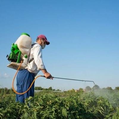 Χανιά: Εφιάλτης η χρήση φυτοφαρμάκων. Ο δρ Βαγγέλης Μπούρμπος στην ΕΡΤ Χανίων