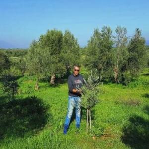 Ο Έλληνας Ελαιοπαραγωγός που κέρδισε 203 διεθνή βραβεία