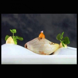 Chef Papadopoulos Georgios Christos - Αγουρέλαιο και Συλλεκτικόν