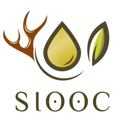 SCANDINAVIAN IOOC 2024: 7 Νέες Εξαιρετικές Διακρίσεις