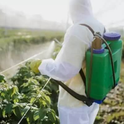 Ερευνητές εντόπισαν 10 νευροτοξικά φυτοφάρμακα που συνδέονται με το Πάρκινσον