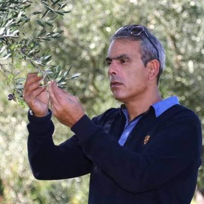 Βιολογικοί Ελαιώνες Σακελλαρόπουλου: Ελαιοπροϊόντα limited edition